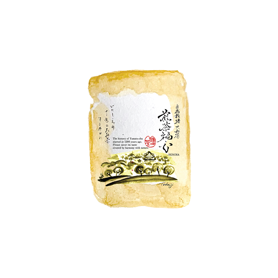 煎茶一式 健一自然農園 KENICHI SHIZEN NOUEN 十色の大和茶 煎茶福心